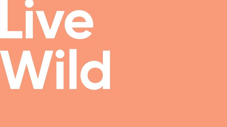 Text in large, bold font says "Live Wild" on an orange background.